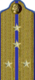 погоны ГБ 1943