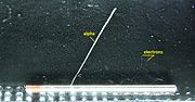 Partikel alfa dan elektron (dibelokkan oleh medan magnet) dari batang torium di cloud chamber ruang awan.