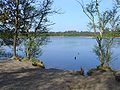 Brandeveen in het Oosterzand bij (Uffelte)