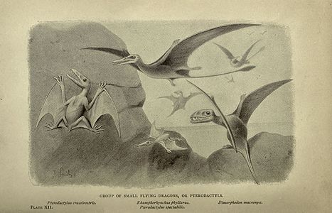 Monstres extingits: relat popular d'algunes de les formes més grans de la vida animal antiga, de H. N. Hutchinson; amb il·lustracions de J. Smit i altres.