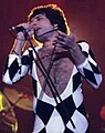 Freddie Mercury (1946-1991), lead vocals