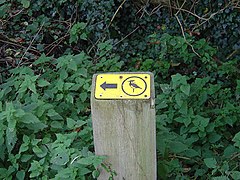 Lapwing marker - geograph.org.uk - 1013695.jpg