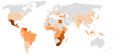 Maize food average per capita