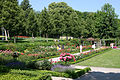 Rosengarten Bern, Switzerland