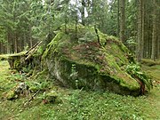 Svenska: Storbuckasten, Bäckagårdens utmark, Sörby socken, Vilske härad, Västergötland.