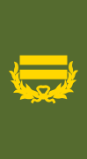 insignia o hombrera de Teniente Coronel de la Policía Nacional