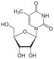 Deutsch: Struktur von 5-Methyluridin English: Structure of 5-Methyluridine