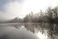 alter Rhein bei Hohenems im Morgendunst