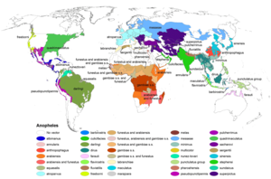 Distribución del mosquito Anopheles