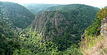 Bodetal Blick Hexentanzplatz.jpg