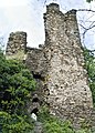 Reruntuhan menara benteng Rheinberg dekat Lorch