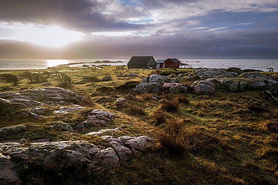 Fishing huts at Grimsholmen nature reserve, outside Falkenberg. Photograph: Tommy Engman