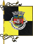 Viana do Castelos flagga