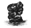 Fig. 4 A casting from the Nilgiri Mountains in South India; of natural size, engraved from a photograph.