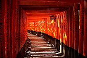 Senbon torii at Fushimi Inari-taisha.