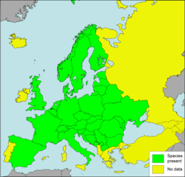 Az európai előfordulása (zöld: ahol eddig észrevették; sárga: nincs bebizonyított előfordulása)