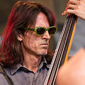 Der Bassist Kostas Theodorou beim TFF Rudolstadt 2014