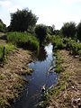 Naturnaher Wassergraben in den Riethbenden