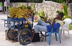 Utcai gyümölcsárus, Boca Chica
