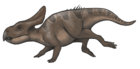 Protoceratops andrewsi