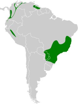 Distribución geográfica del yacutoro.