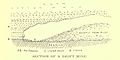 Section of a drift mine, showing the use of thawing