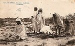 Thumbnail for 1945 Sheikh Bashir rebellion