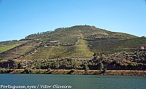 Vale do Rio Douro - Portugal (6928067685).jpg