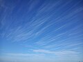 Cirrus fibratus