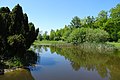 Dwingelderveld (nabij bezoekerscentrum)