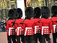 رتل من الرجال يرتدون قبعات سوداء ضخمة مصنوعة من جلد الدب، وستر حمراء.