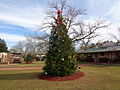 Christmas tree in Santa Claus