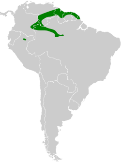 Distribución geográfica del saltarín coronigualdo.