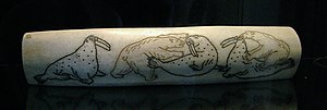 チュクチがセイウチの牙に描いた1940年代の絵。ホッキョクグマがセイウチを捕らえる場面。