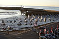 Port-en-Bessin-Huppain ()