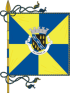 Flagge von Estarreja