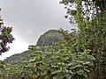 Bosque Nacional Lluvioso del Yunque