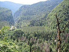 Ritsa Nature Reserve, Valley, Abkhazia.jpg
