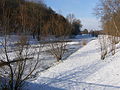 near Thieschitz, 2009-01-13