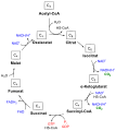 Vorschaubild der Version vom 19:34, 22. Jan. 2010