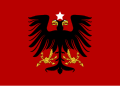Albānijas grāfistes karogs no 1914. līdz 1920. gadam.