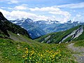 a meadow between mountains