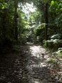 Yellow bath road (La Soufrière)