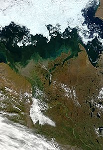 Delta del Mackenzie, que desemboca a l'oceà Àrtic