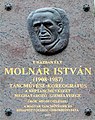 István Molnár