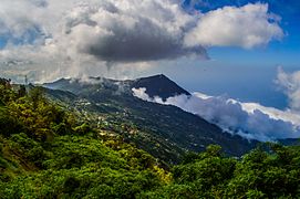 Forêt de nuages de Galipan, la guaira.