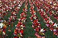 2017's Pinwheel Garden at The Ohio State University Wexner Medical Center. Each of the 8,500+ pinwheels represents a lifesaving organ transplant performed at center since 1967. By Maria Rimmel