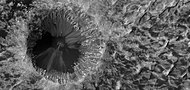 Close view of crater on floor of Danielson Crater, as seen by HiRISE under HiWish program