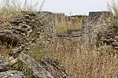 Die Etruskergräber des Tumolo del Molinello