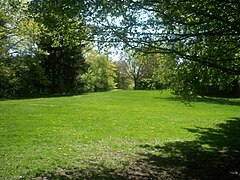 Backyard Lawn Trees Hancock Village Brookline Town Massachusetts New England.jpg